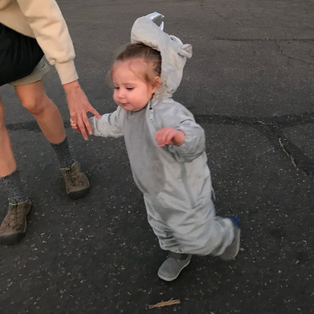 Rhinoceros costume toddler 18-24 months